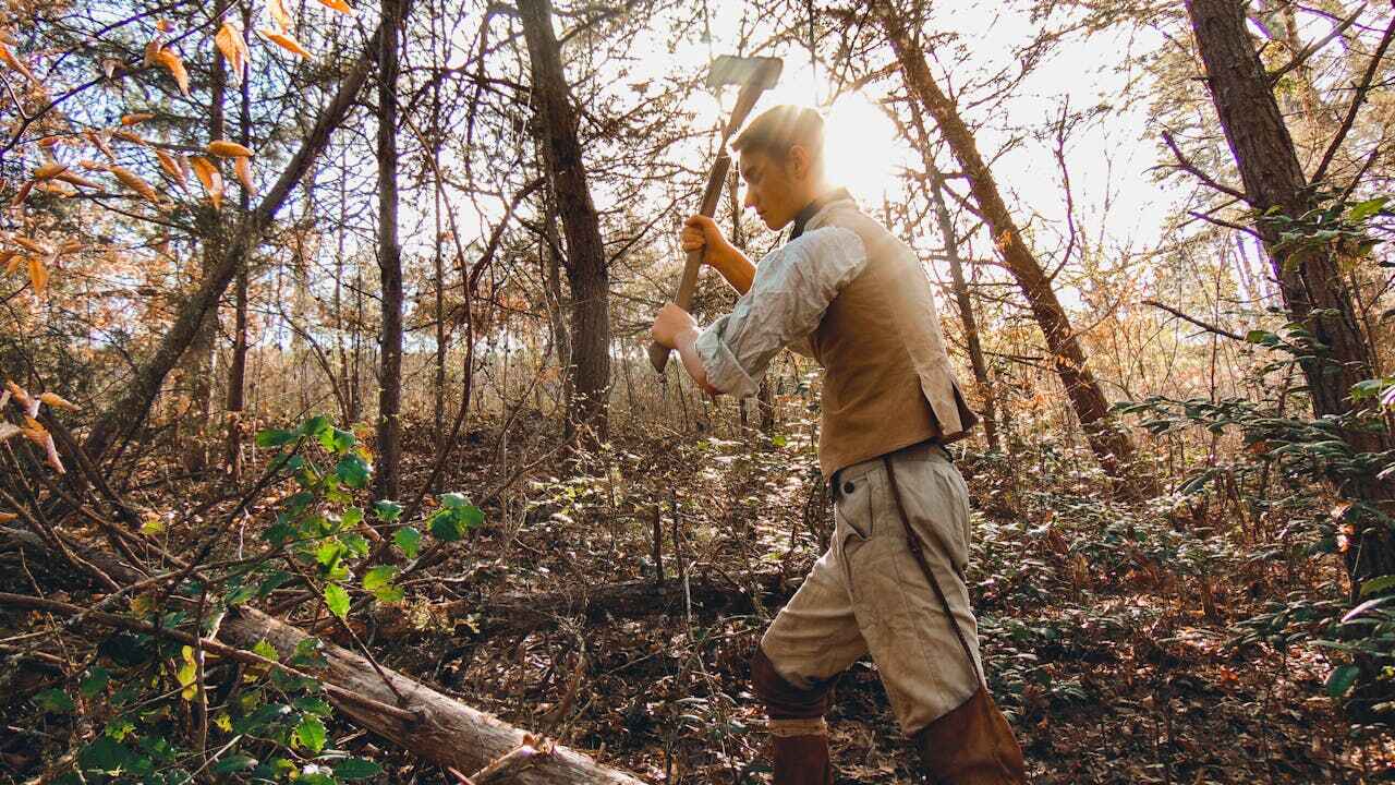 Best Tree Removal Near Me  in Elsberry, MO